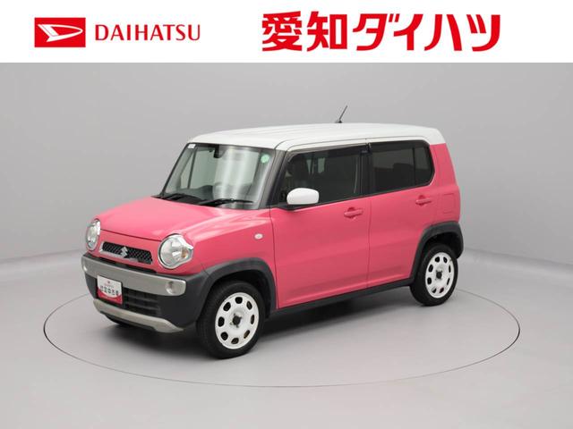ハスラーＧ（愛知県）の中古車