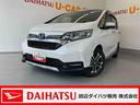 ９インチメモリーナビ・バックカメラ（和歌山県）の中古車