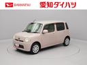 カーナビ　バックカメラ（愛知県）の中古車