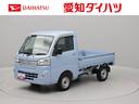 ＣＤチューナー　キーレス　パワーウィンドウ　フロントフォグランプ　マニュアルエアコン　荷室ランプ　４ＷＤ（愛知県）の中古車