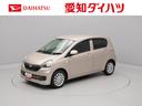 （愛知県）の中古車