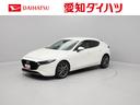 （愛知県）の中古車