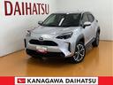 衝突被害軽減ブレーキシステム　ドラレコ　ブラインドスポットモニター　全周囲カメラ　アダプティブクルーズコントロール　シートヒーター　ＵＳＢ接続端子　電動パーキングブレーキ　エマージェンシースイッチ（神奈川県）の中古車