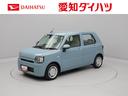 （愛知県）の中古車