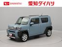 （愛知県）の中古車