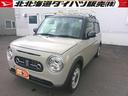 ４ＷＤ　純正ディスプレイオーディオ　キーフリーシステム　ルーフキャリア　運転席助手席シートヒーター　リモコンエンジンスターター　前後コーナーセンサー　アイドリングストップ（北海道）の中古車