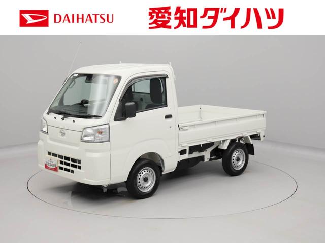 ハイゼットトラックスタンダード（愛知県）の中古車