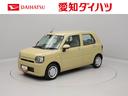 （愛知県）の中古車