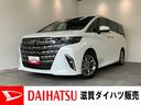 １４型フルセグナビ　パノラマカメラ　Ｂｌｕｅｔｏｏｔｈ　ＵＳＢ　両側パワスラ　レーダークルコン　電動リヤーゲート　パワーシート　シートヒーター＆クーラー　左右電動オートステップ（滋賀県）の中古車