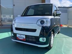 ムーヴキャンバスストライプスＧ