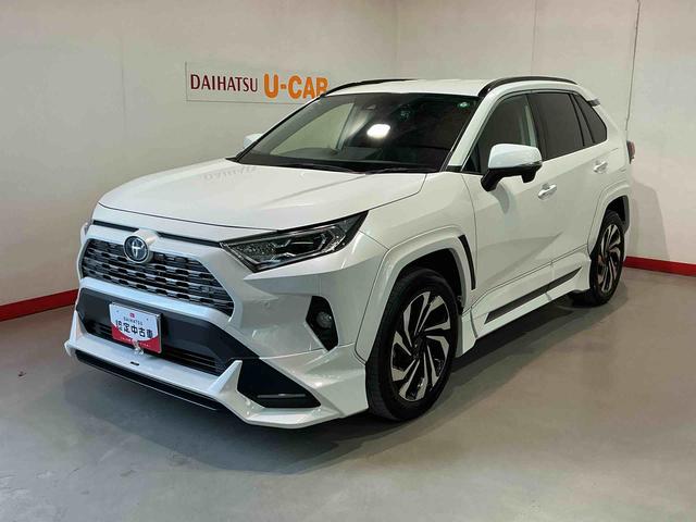 ＲＡＶ４ハイブリッドＧドライブレコーダ　シートヒータ　バックモニター　ＬＥＤヘッドライト　スマキー　ＴＶナビ　横滑り防止装置　クルコン　エアバッグ　ＡＷ　キーレスエントリー　ＥＴＣ　ＡＢＳ（栃木県）の中古車