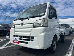 (鹿児島県)  (鹿児島県)