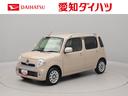 オーディオレス　バックカメラ　キーフリー　リヤプライバシーガラス　ルーフレール　ＬＥＤヘッドライト　ＬＥＤフォグランプ（愛知県）の中古車