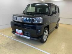 (静岡県)  (静岡県)