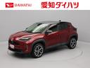 （愛知県）の中古車