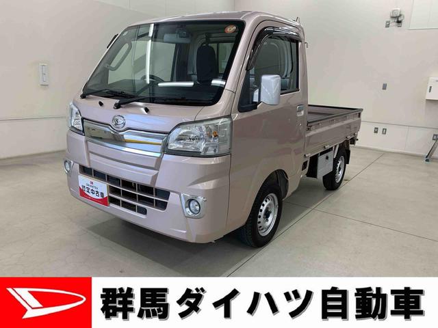 ハイゼットトラックＥＸＴ　４ＷＤナビ・ＥＴＣ・マニュアルエアコン・キーレスエントリー・４ＷＤ・４ＡＴ（群馬県）の中古車