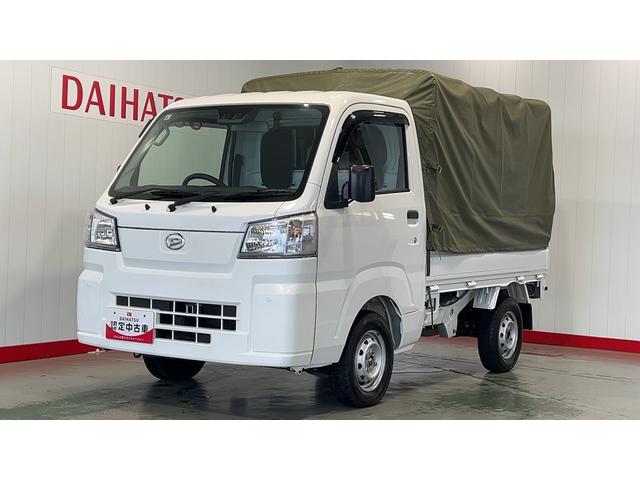 ハイゼットトラックスタンダード（茨城県）の中古車