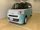 バックカメラ（静岡県）の中古車