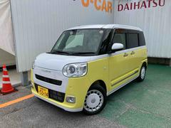 ムーヴキャンバスストライプスＧ