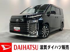 (滋賀県)  (滋賀県)