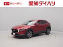 衝突軽減ブレーキ　レーダークルーズコントロール　ＬＥＤヘッドライト　アルミホイール　電動格納ドアミラー　プッシュボタンスタート　運転席パワーシート　運転席・助手席シートヒーター　電動テールゲート（愛知県）の中古車