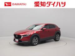  (愛知県)