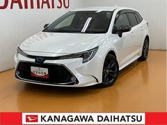 (神奈川県)  (神奈川県)