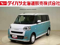 ムーヴキャンバスストライプスＧ