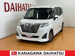 (神奈川県)  (神奈川県)