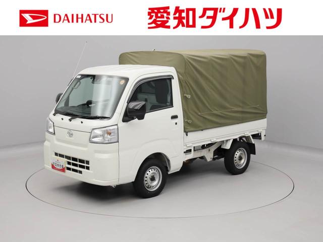 ハイゼットトラックスタンダード（愛知県）の中古車
