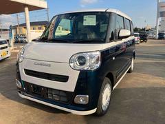 ムーヴキャンバスストライプスＧ