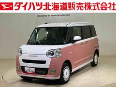 ムーヴキャンバスストライプスＧ