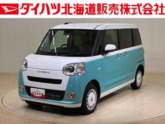 ムーヴキャンバスストライプスＧ