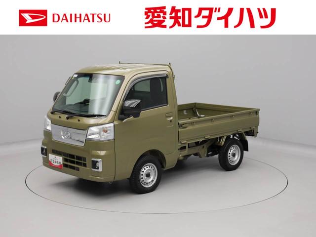 ハイゼットトラックEXT(愛知県)の中古車