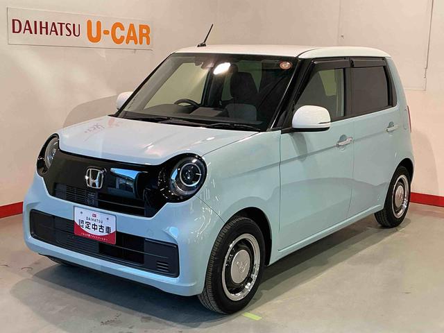 Ｎ−ＯＮＥオリジナル追突被害軽減ブレーキ　電格ドアミラー　オートクルーズコントロール　レーンキープ　ＥＴＣ車載器　クリアランスソナー　ナビ＆ＴＶ　ＬＥＤライト　Ｂカメラ　セキュリティ　エアバッグ　ＡＢＳ（栃木県）の中古車