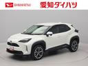 （愛知県）の中古車