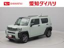 バックカメラ　キーフリー（愛知県）の中古車