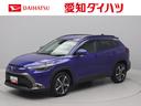 メモリーナビ　全方位カメラ　ＥＴＣ２．０　ドラレコ　ハイブリッド車　ＬＥＤヘッドライト（愛知県）の中古車