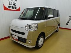 ムーヴキャンバスストライプスＧ