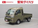 ディスプレイオーディオ　キーフリー　ＬＥＤヘッドライト（愛知県）の中古車