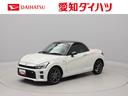 ターボ　キーフリーシステム（愛知県）の中古車