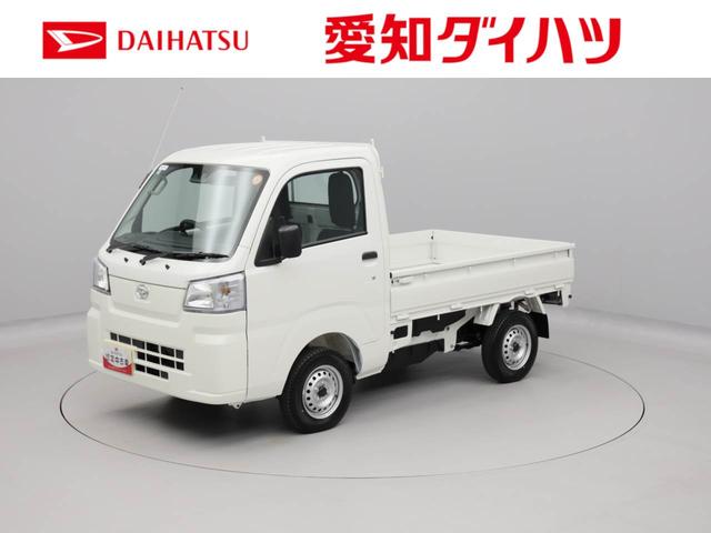 ハイゼットトラックスタンダード（愛知県）の中古車