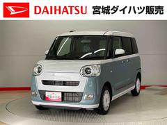 ムーヴキャンバスストライプスＧ