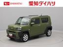 プッシュスタート　バックカメラ（愛知県）の中古車