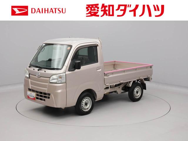 ハイゼットトラックスタンダード（愛知県）の中古車