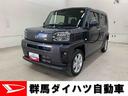 （群馬県）の中古車