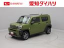 キーフリー　ＬＥＤヘッドライト　衝突軽減装備　バックカメラ（愛知県）の中古車