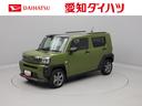 オーディオレス　アルミホイール　アイドリングストップ　プッシュスタート　エアバック　ＡＢＳ　ＣＶＴ　キーフリー（愛知県）の中古車