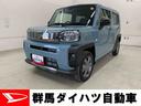 （群馬県）の中古車
