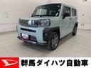 （群馬県）の中古車